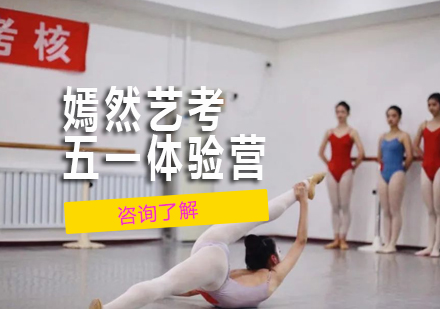 舞蹈艺考特训营深度解析