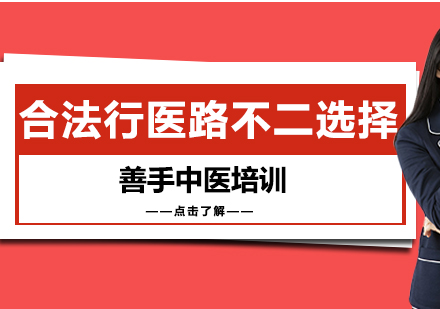 善手中医职业培训深度解析