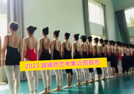 北京舞蹈艺考集训深度解析