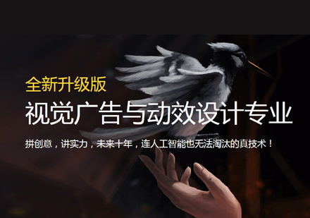 视觉广告与动效设计培训