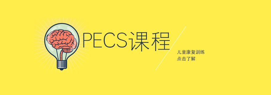 PECS课程教学场景