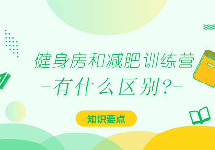 科学减重选择指南：健身房与训练营深度解析