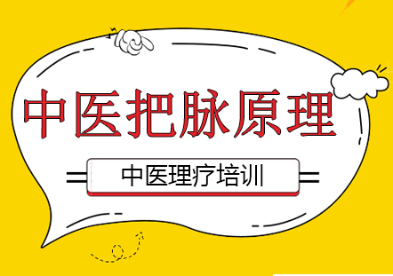 中医脉诊核心原理深度解析