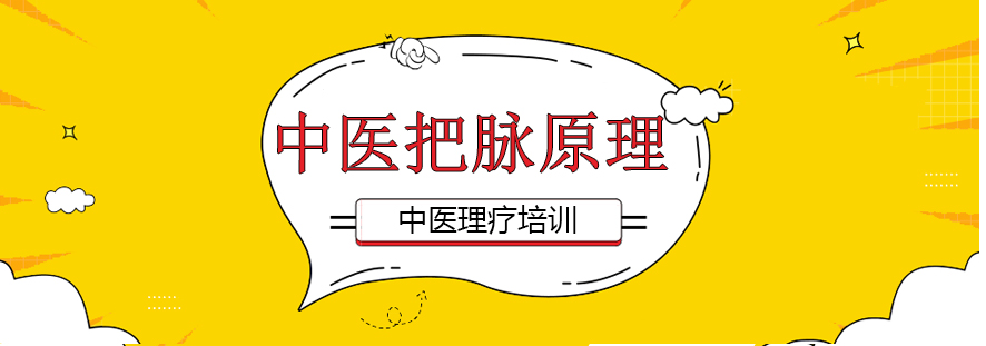 中医脉诊示意图