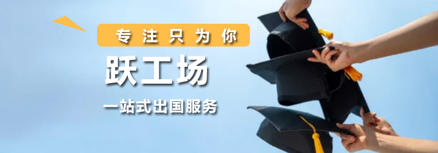职业导向型留学服务机构