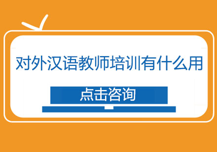 国际汉语教师职业发展必修课