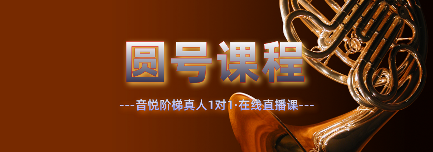 圆号教学实景
