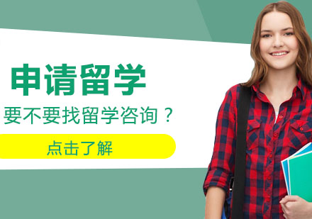 留学申请决策指南：专业服务价值与自主办理可行性深度剖析
