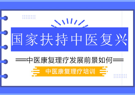 中医康复理疗师职业前景深度解析
