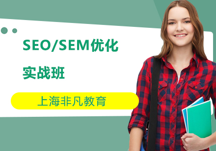 SEO/SEM优化实战班