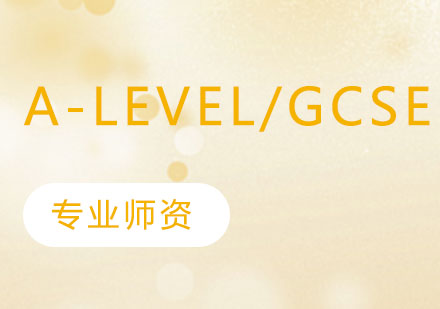 A-LEVEL/GCSE課程