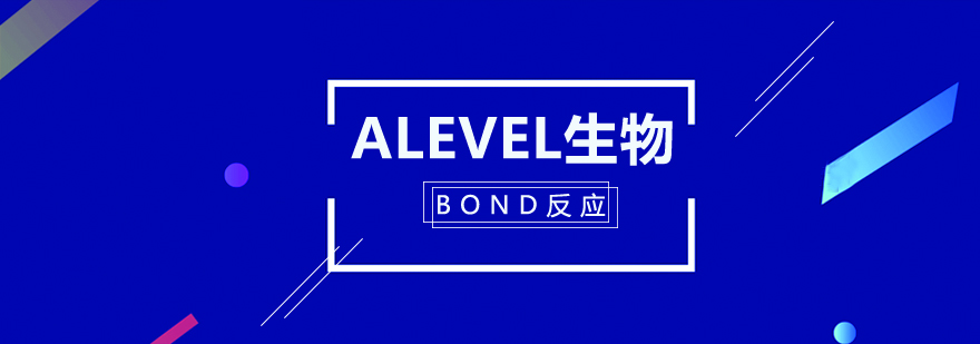 生物分子结构示意图