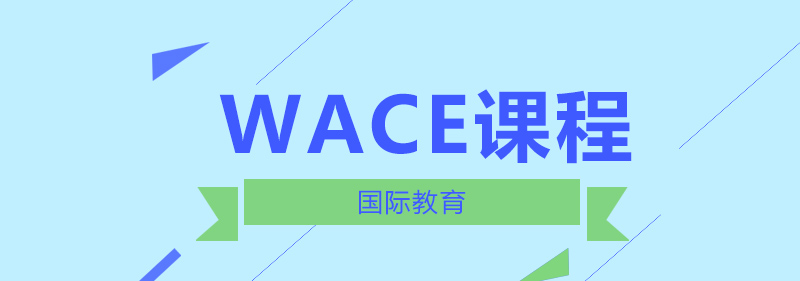 WACE课程体系图解