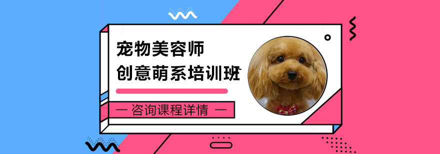 宠物美容师创意萌系培训班