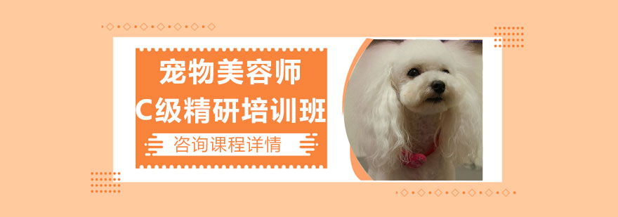 宠物美容师c级精研培训班