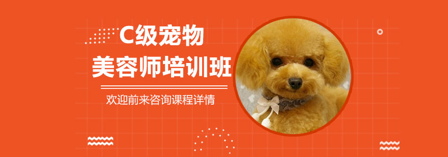 C级宠物美容师培训班
