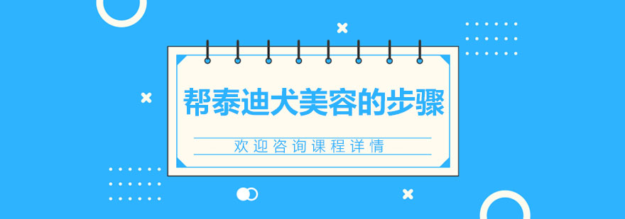 帮泰迪犬美容的步骤