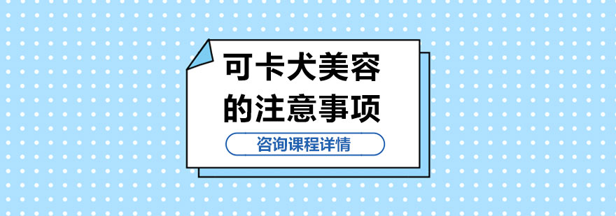 可卡犬美容的注意事项