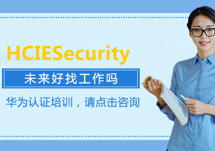 HCIESecurity未来好找吗