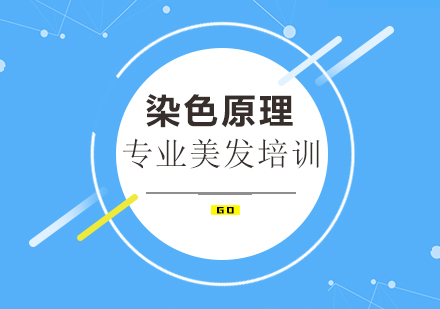 专业染发技术深度解析