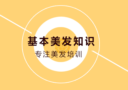 专业美发知识全解析