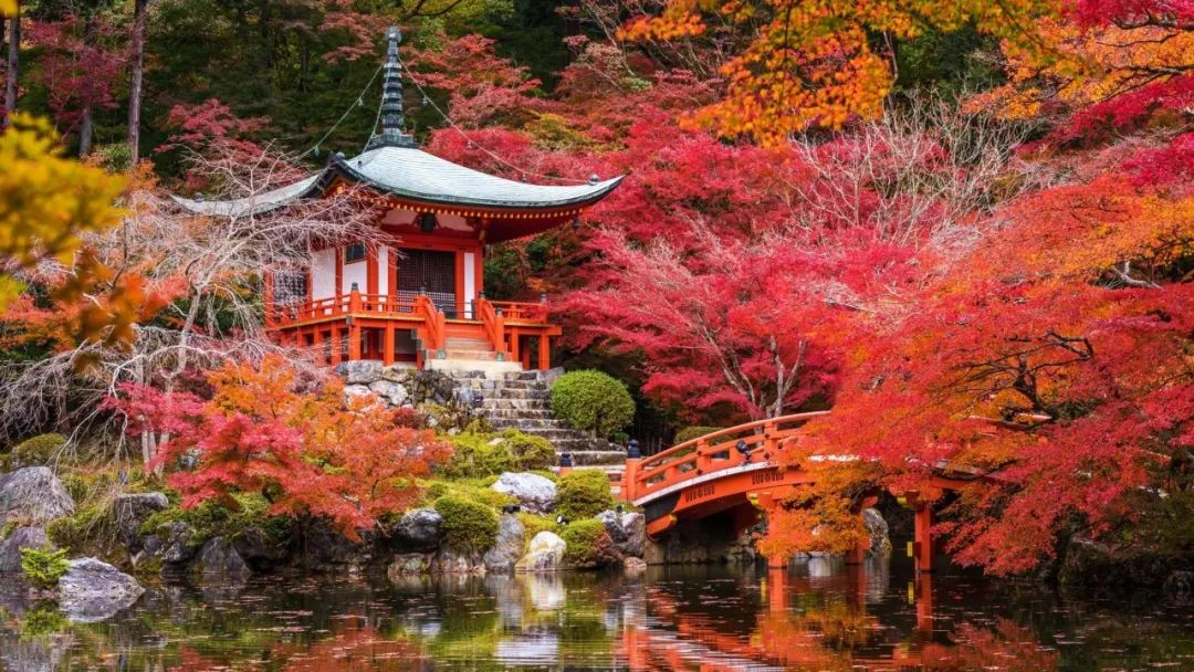 留学生在日场景