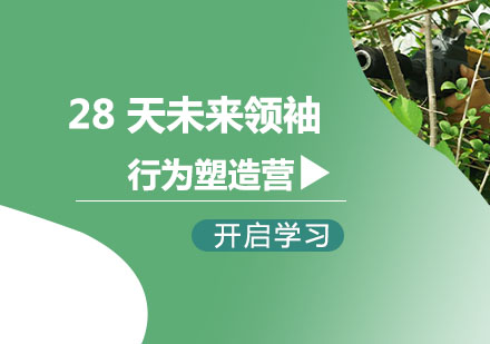 28 天未来领袖行为习惯塑造夏令营