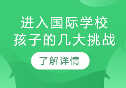 国际学校过渡全攻略|稻田学塾定制化解决方案解析