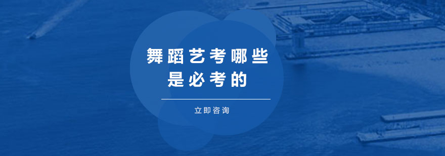 舞蹈专业考核示意图