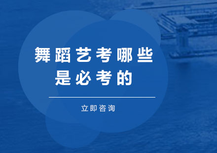 舞蹈专业升学考试核心评估体系详解