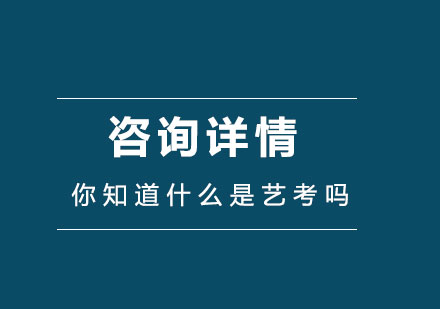 艺术类高考全攻略：院校录取标准与专业培训指南