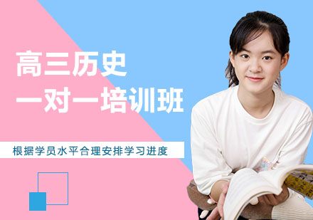高三历史一对一培训班