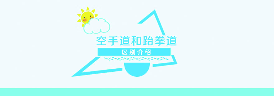 武道护具对比