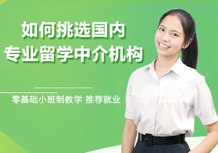 国内专业留学机构选择指南：精准定位优质服务