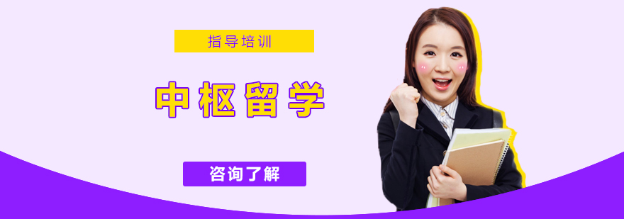 中枢留学办公环境