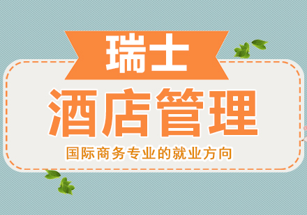 国际商务专业职业发展路径深度解析