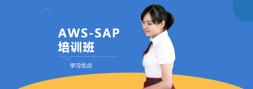 AWSSAP培训班