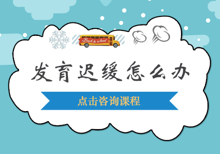 儿童发育迟缓专业干预方案解析