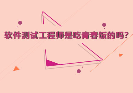软件测试工程师职业发展深度解析