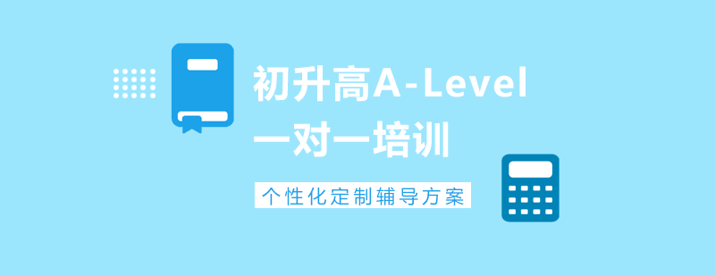 初升高ALevel1對(duì)1培訓(xùn)課程