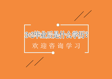 3+2学历深度解析：大专教育路径与课程特色