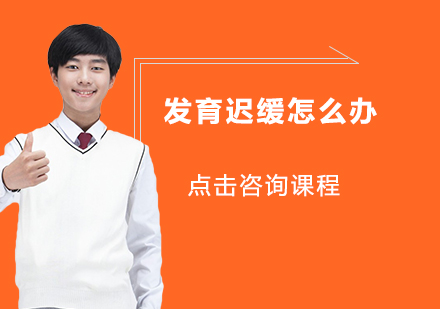 儿童发育迟缓专业指导方案