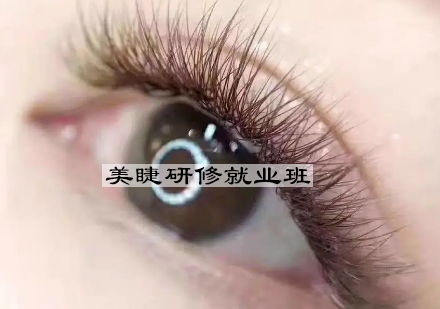 杭州美睫研修班