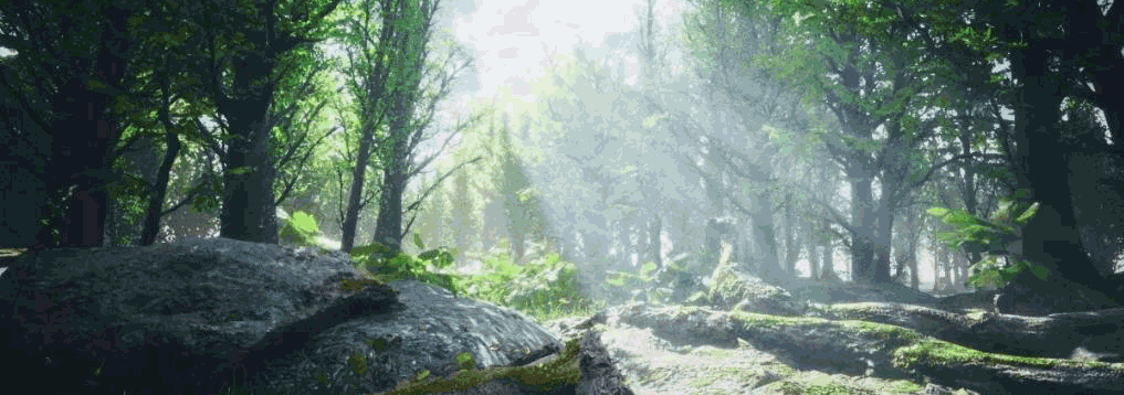 UE4开发环境演示