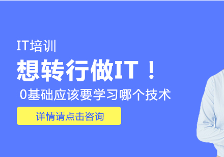 零基础转型IT领域的技术选择与学习路径深度解析