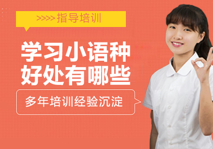 掌握多语种竞争力的核心要素解析