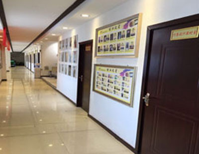 学校师资墙展示