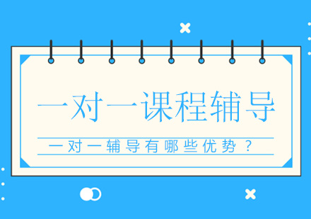 个性化教学深度解析：揭秘一对一辅导核心价值