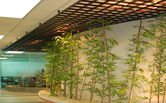 昆明樱花国际日语
