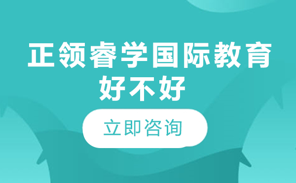 正领睿学国际教育课程优势深度解析